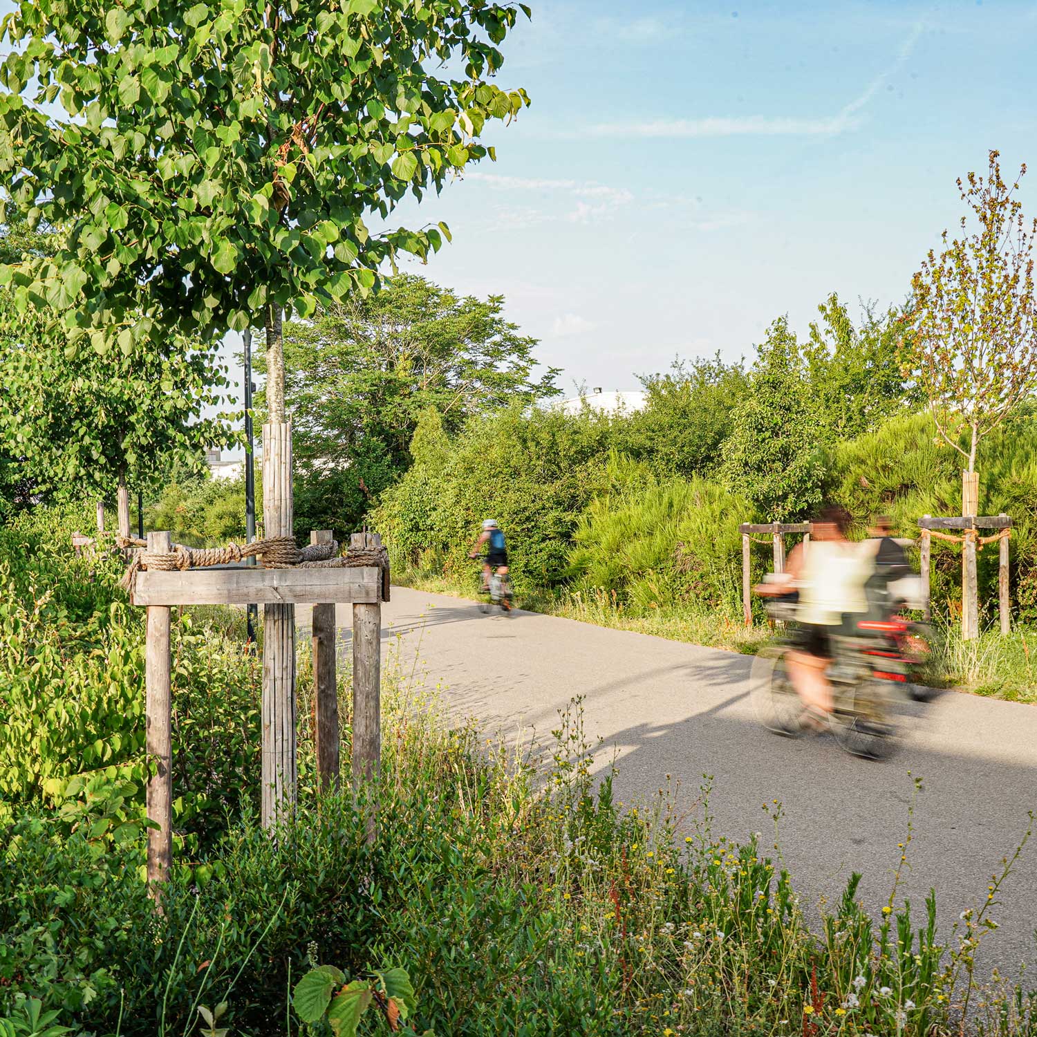 Cycliste sur voie verte irigovélo