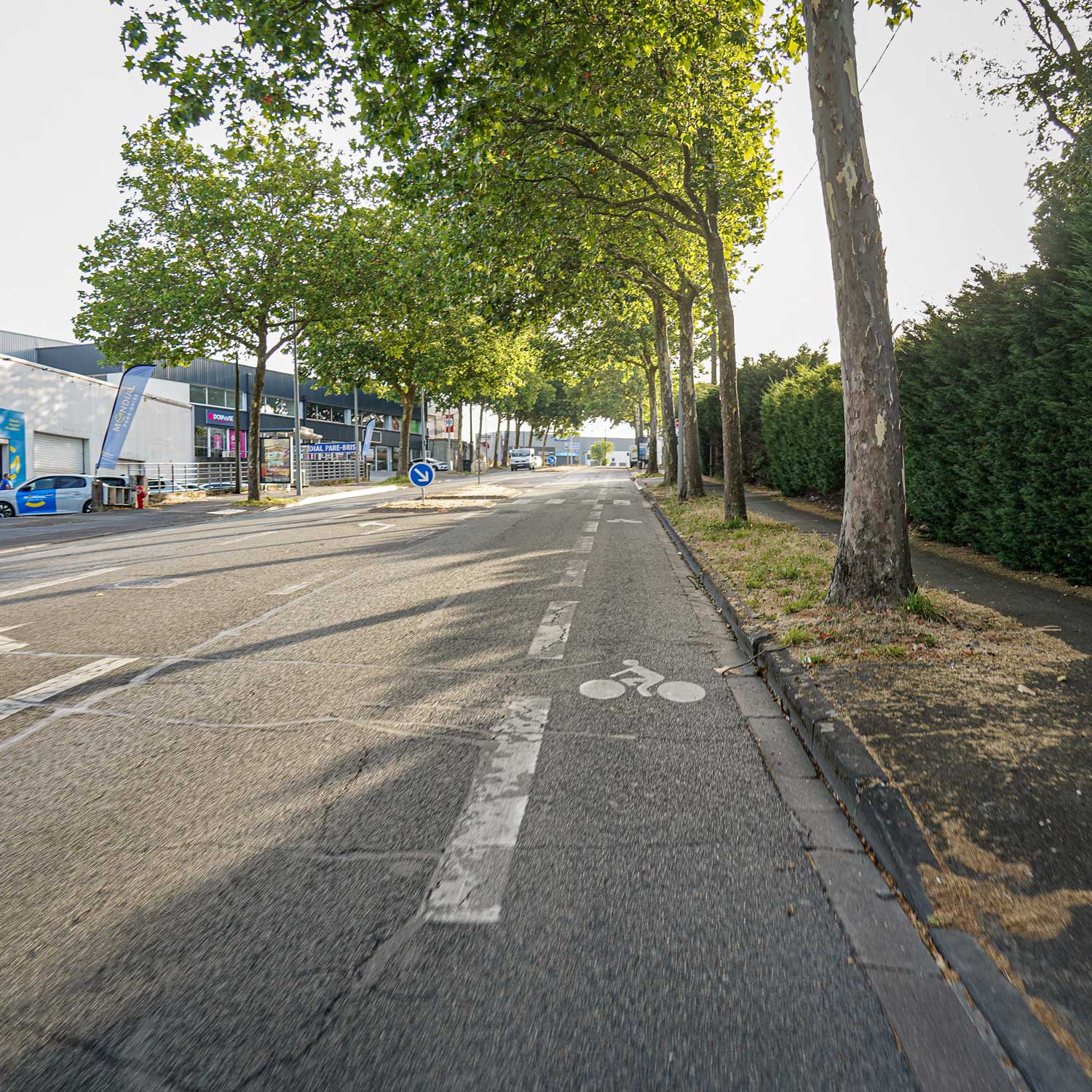 Bande cyclable boulevard du Doyenné