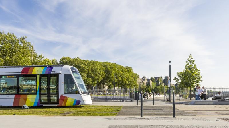 illustration-réseau©Christophe-Martin