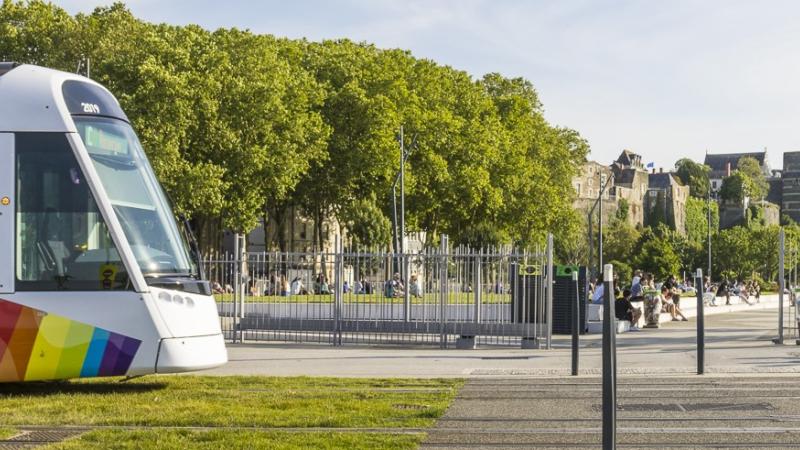 illustration-réseau©Christophe-Martin