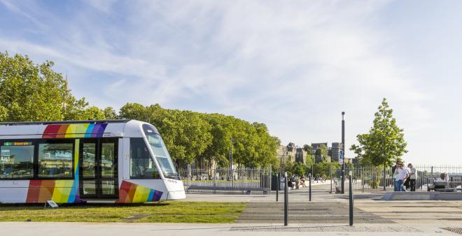 illustration-réseau©Christophe-Martin